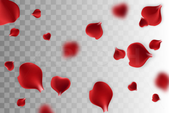 Download Falling Rose Petals on Transparent Back - Transparent Collection